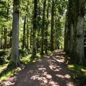 Buitenplaats de Bergse Bossen