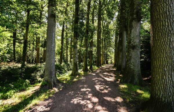 Buitenplaats de Bergse Bossen